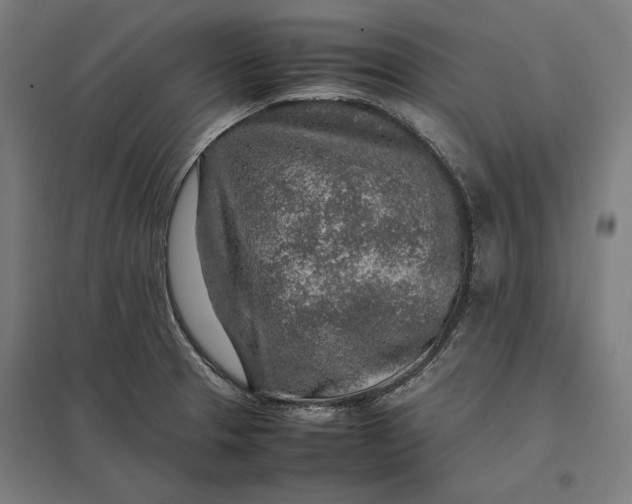 X0000097901329200803281330