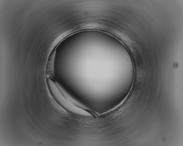 X0000097901330200803281330
