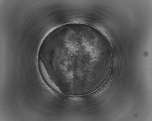 X0000097901331200803281330