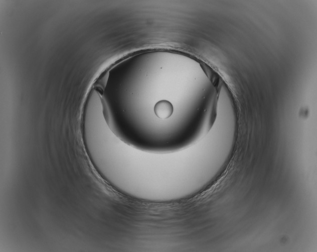X0000097901332200803281330