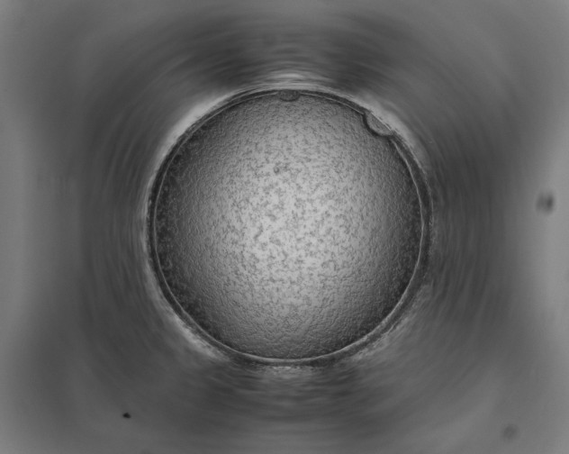 X0000097901333200803281330