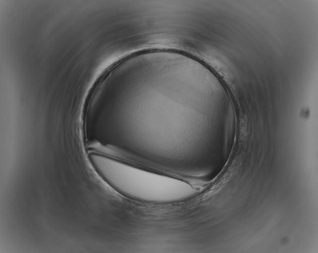 X0000097901334200803281330