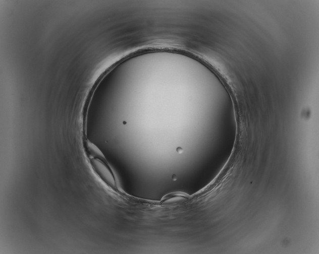 X0000097901335200803281330