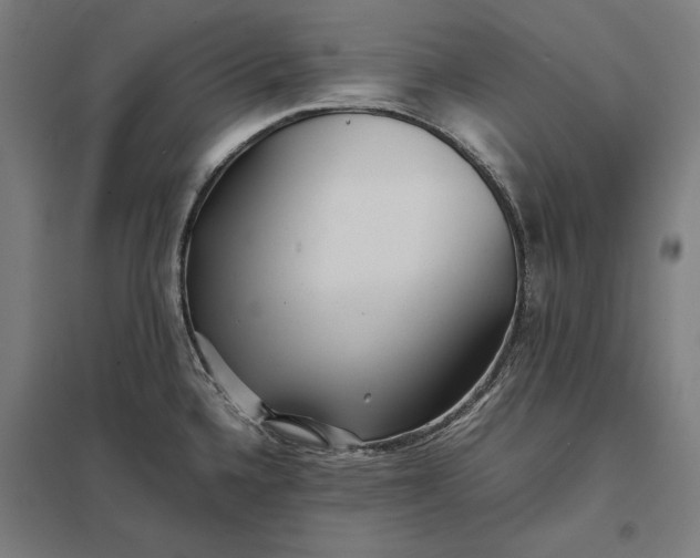 X0000097901336200803281330