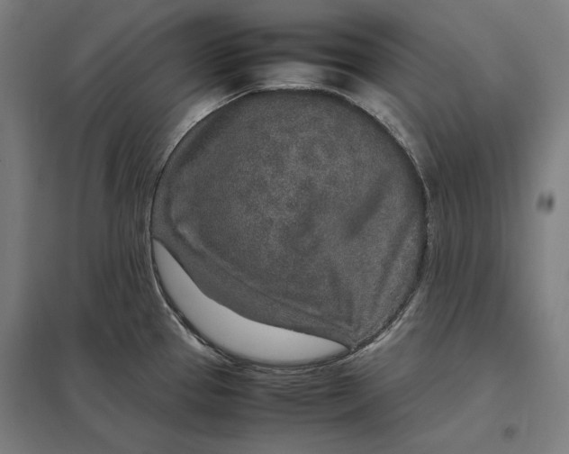 X0000097901337200803281330