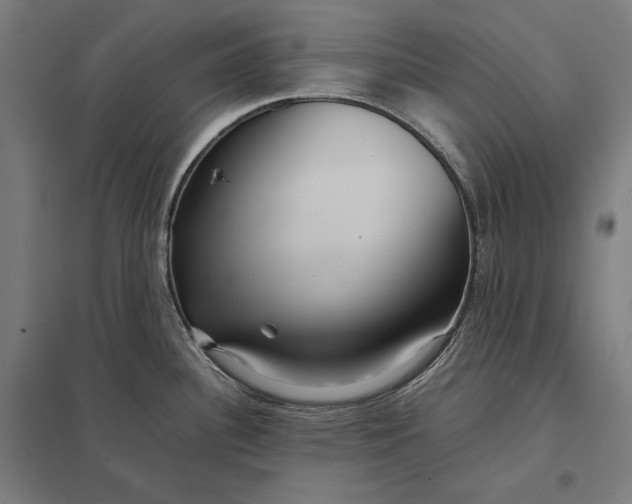 X0000097901340200803281330