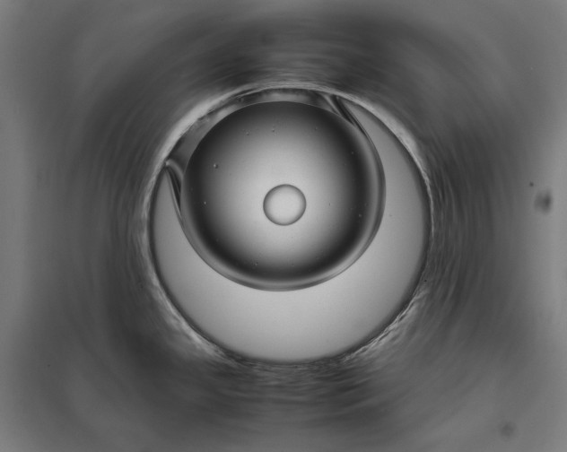 X0000097901341200803281330