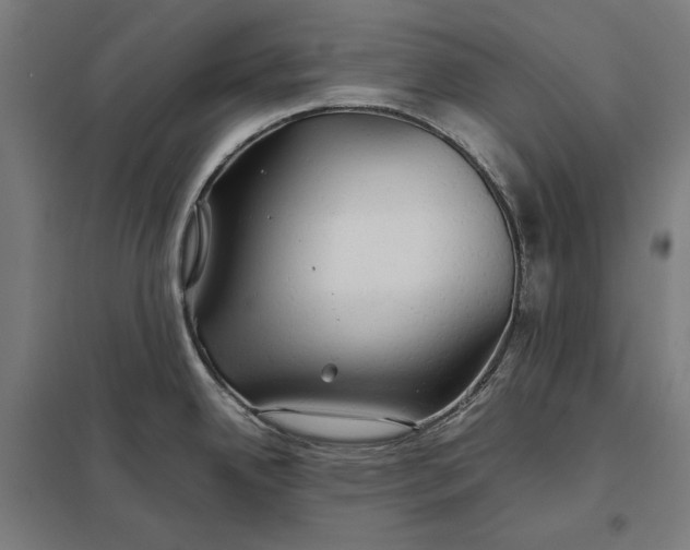 X0000097901342200803281330