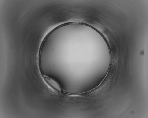 X0000097901343200803281330