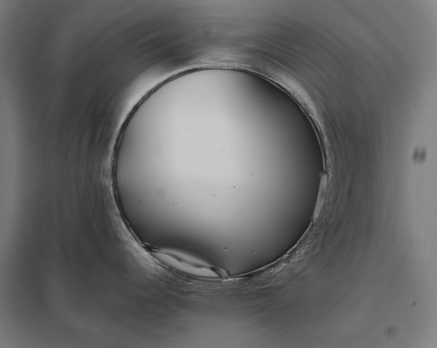 X0000097901344200803281330