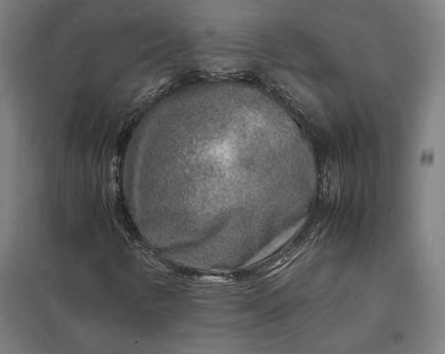 X0000097901346200803281330