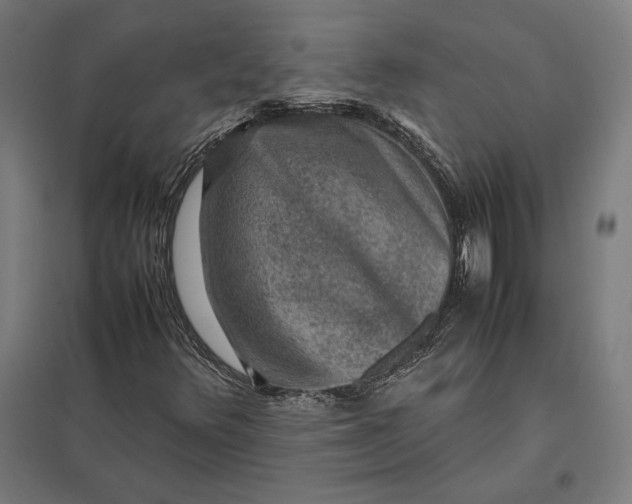 X0000097901348200803281330