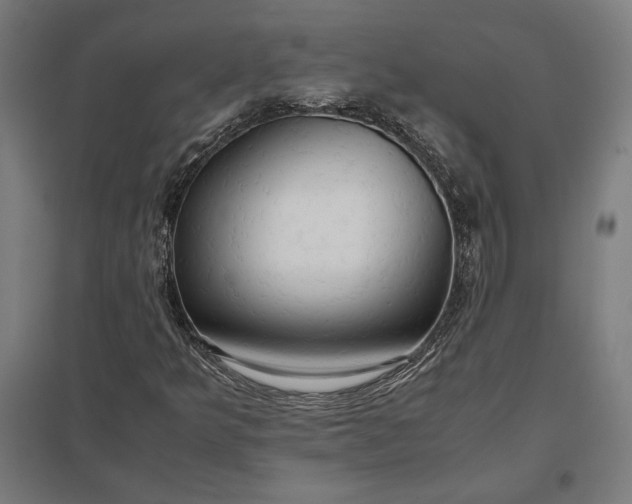 X0000097901349200803281330