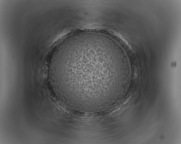 X0000097901350200803281330