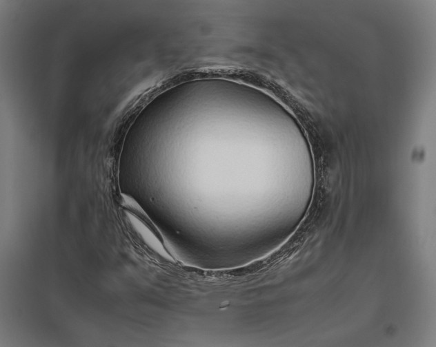 X0000097901351200803281330