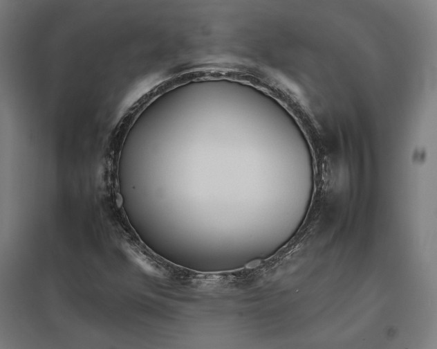 X0000097901352200803281330