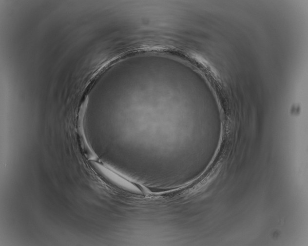 X0000097901353200803281330