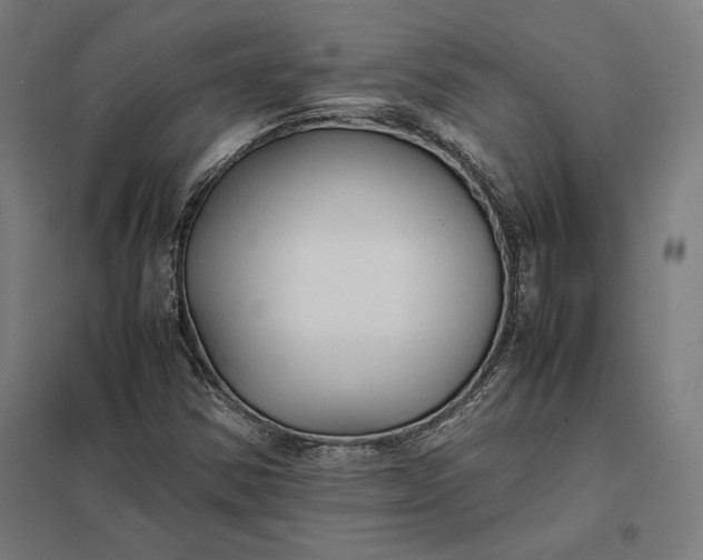 X0000097901354200803281330