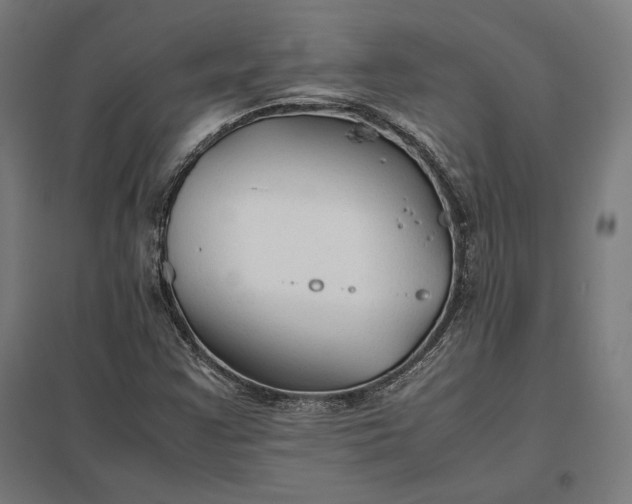 X0000097901355200803281330