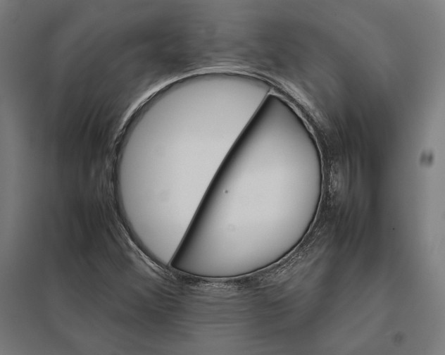X0000097901356200803281330