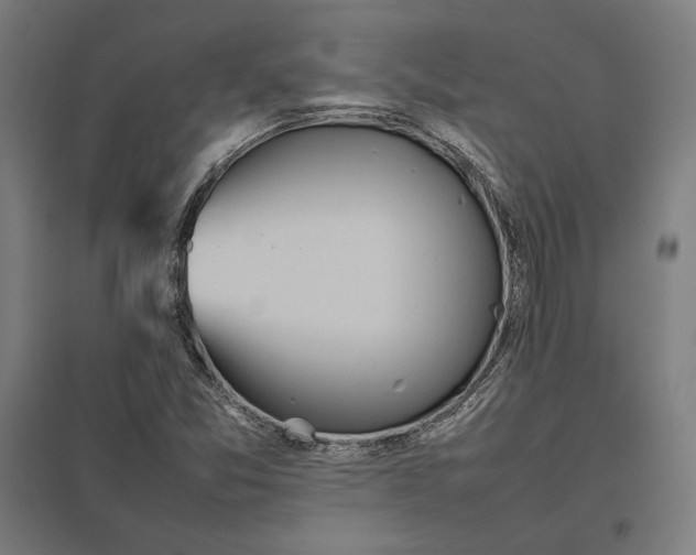 X0000097901357200803281330