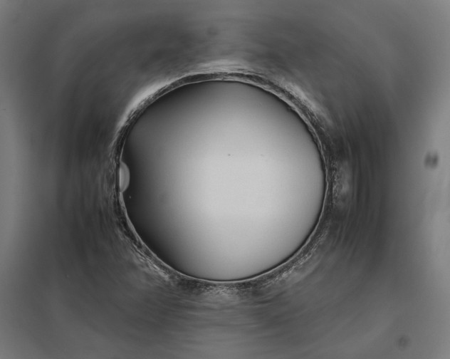 X0000097901358200803281330