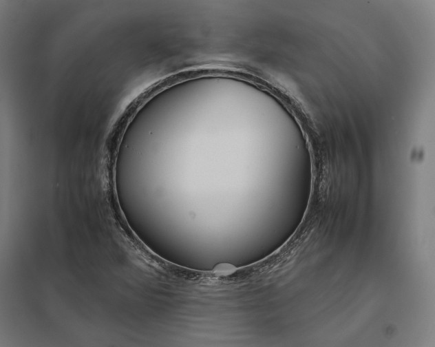 X0000097901360200803281330