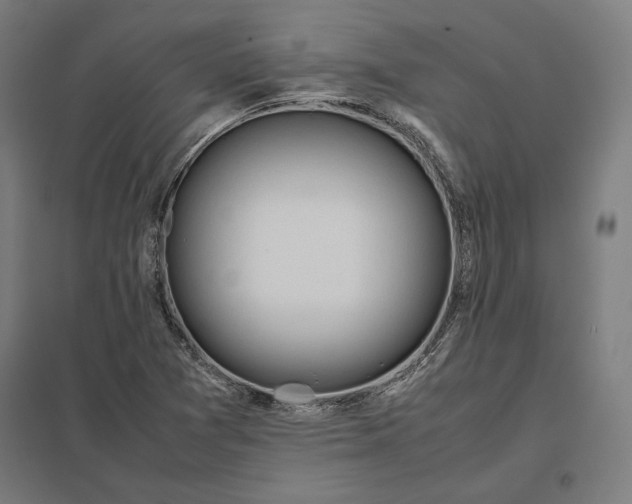 X0000097901361200803281330