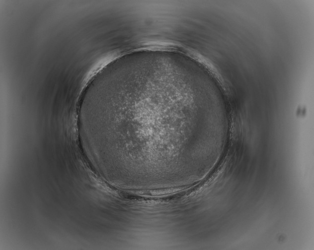X0000097901362200803281329