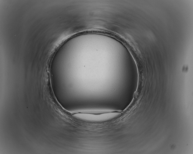 X0000097901363200803281329
