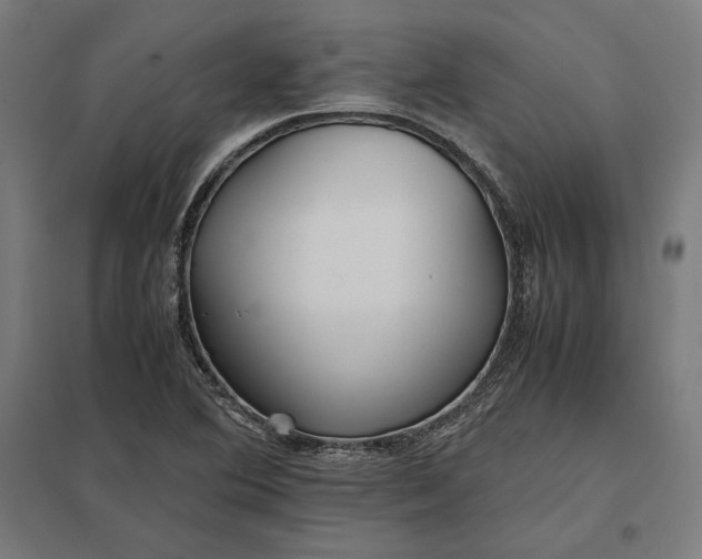 X0000097901364200803281329