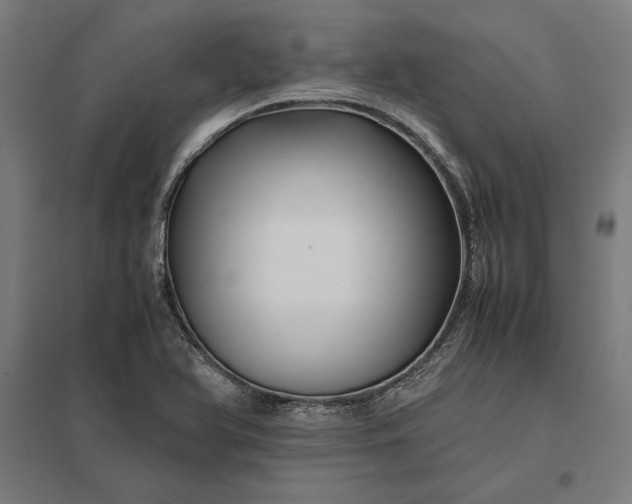 X0000097901366200803281329