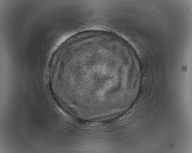 X0000097901367200803281329