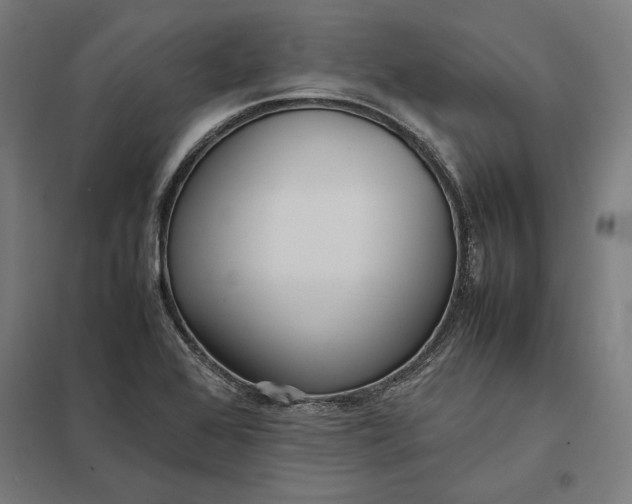 X0000097901368200803281329