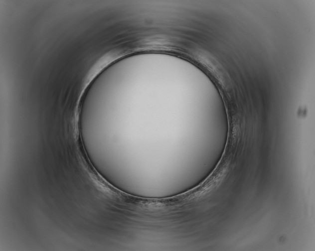 X0000097901370200803281329