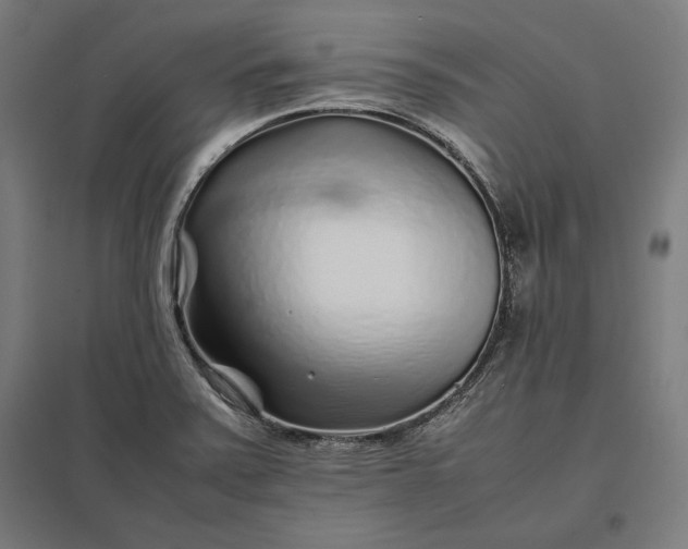 X0000097901371200803281329