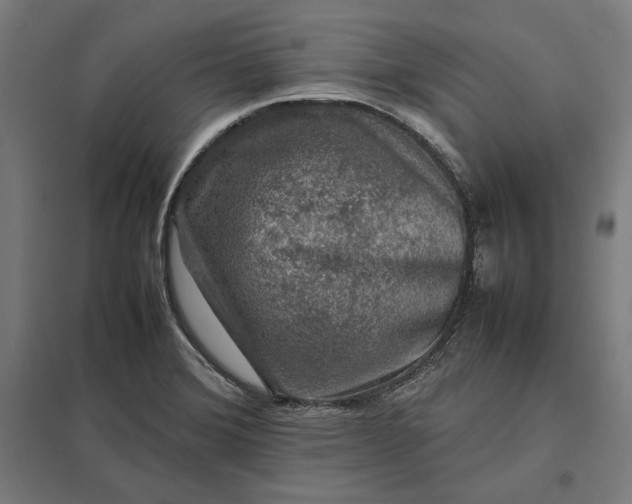 X0000097901372200803281329