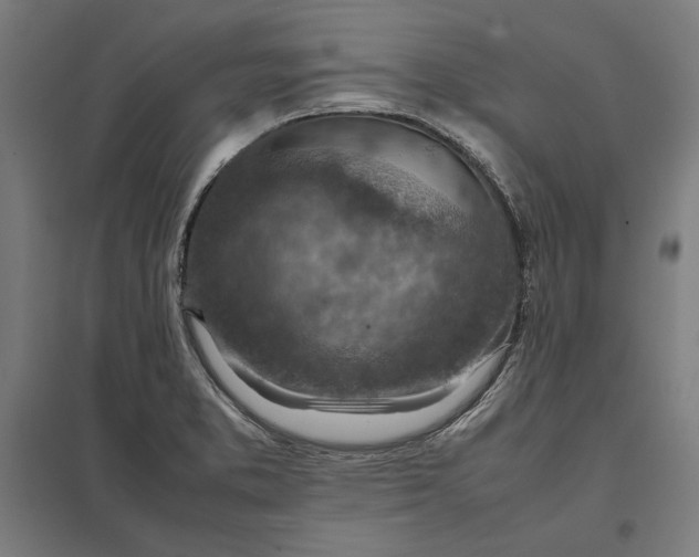 X0000097901373200803281329
