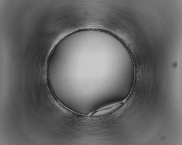 X0000097901374200803281329