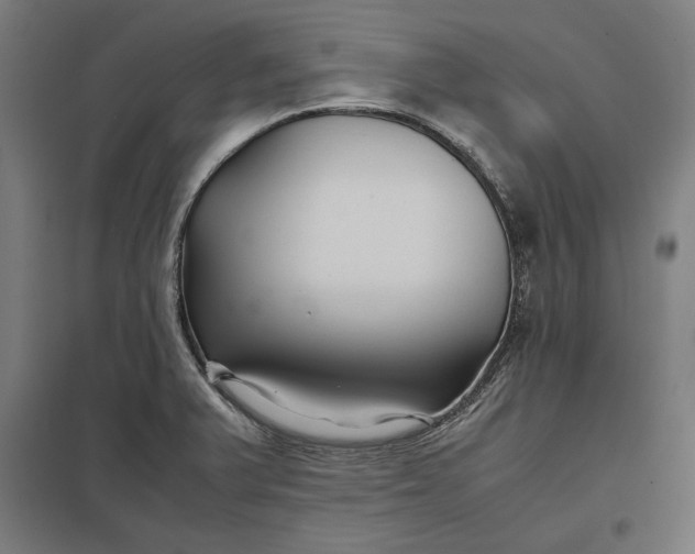 X0000097901375200803281329