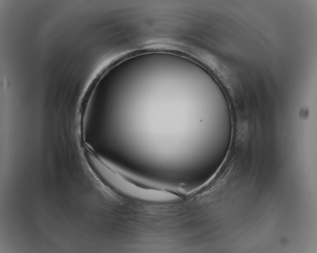 X0000097901376200803281329