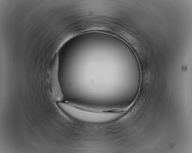 X0000097901377200803281329