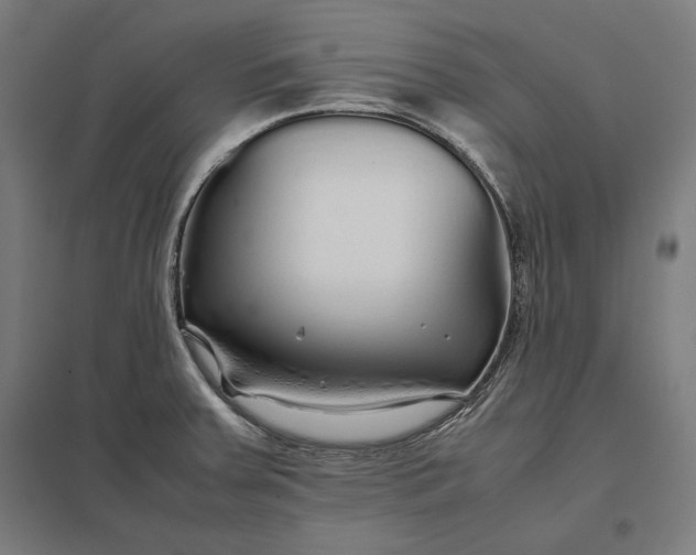 X0000097901379200803281329
