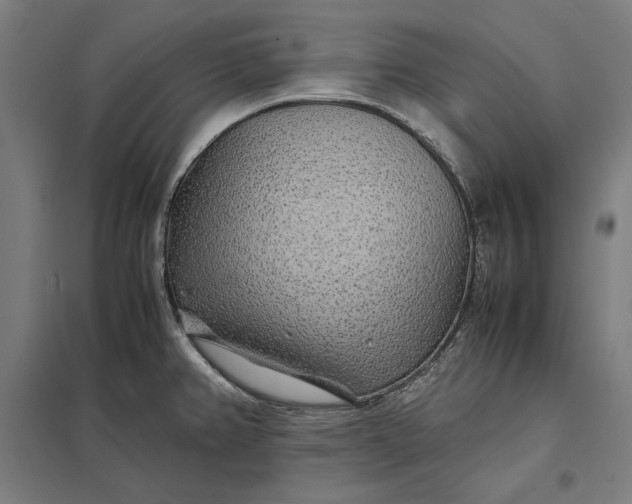 X0000097901382200803281329