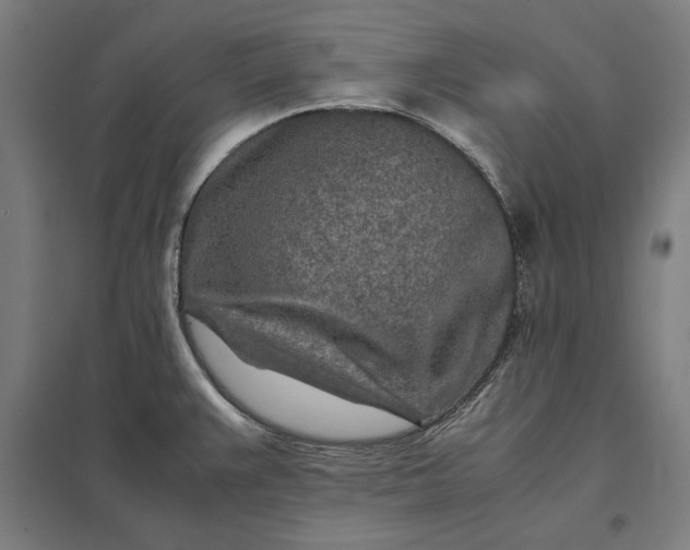 X0000097901383200803281329