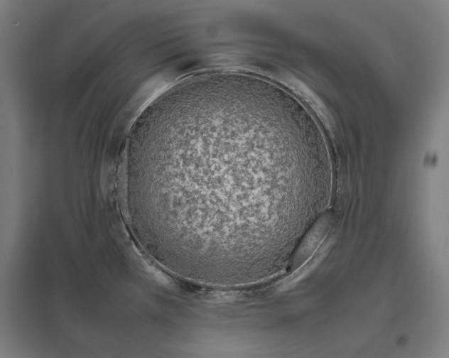 X0000097901385200803281329