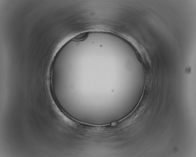 X0000097901387200803281329