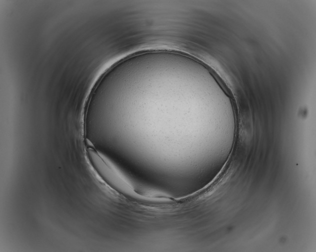 X0000097901388200803281329