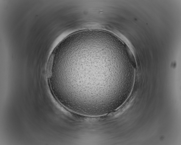 X0000097901389200803281329
