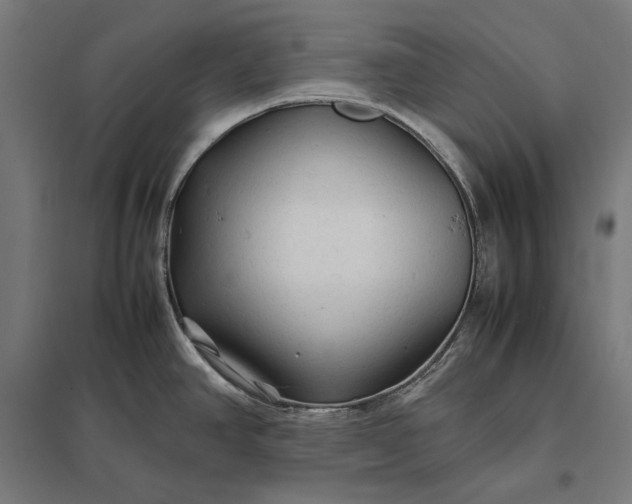 X0000097901390200803281329